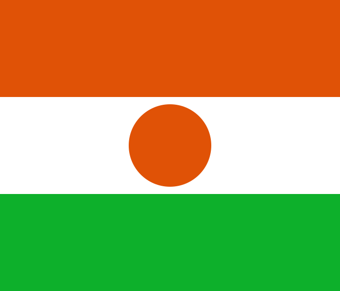 Niger flag